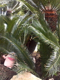 070707_1545~001.jpg