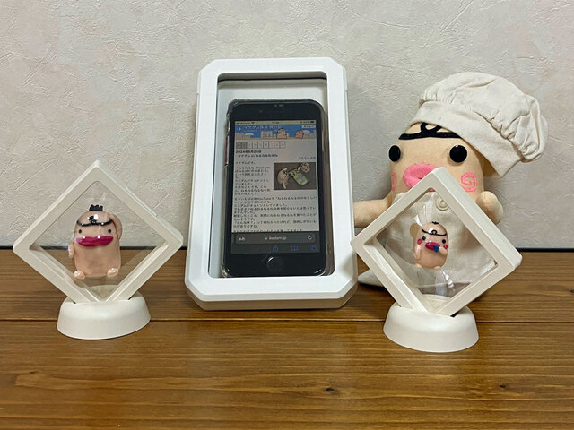 イケダム in シュリンク