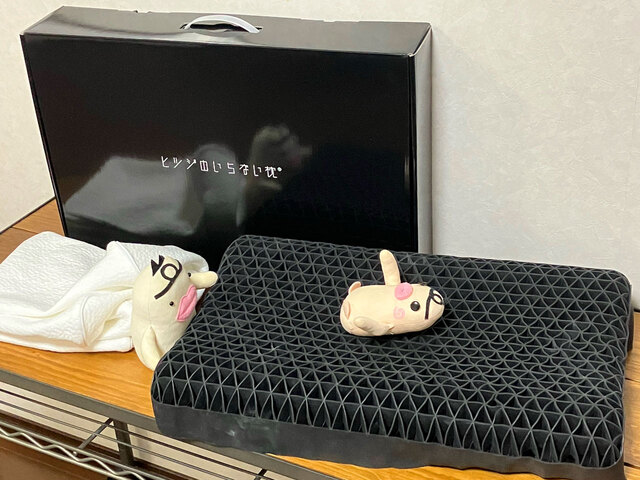 ミニダム in ヒツジのいらない枕