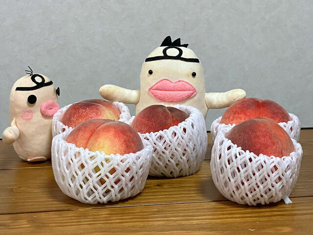 イケダム in 桃2025 到来