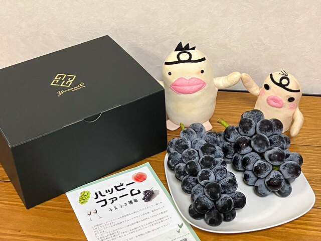 イケダム in ぶどう2025