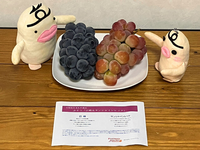 イケダム in ぶどう2025