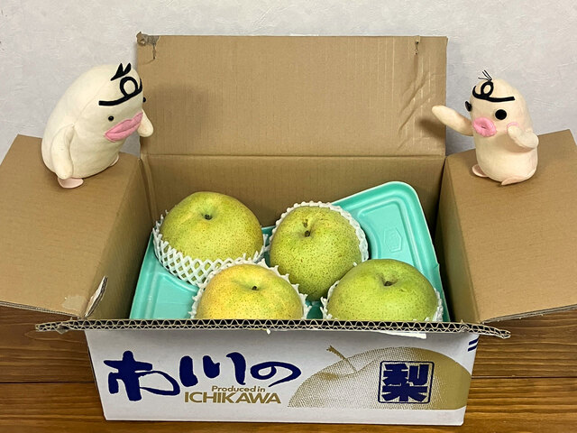 イケダム in かおり2025