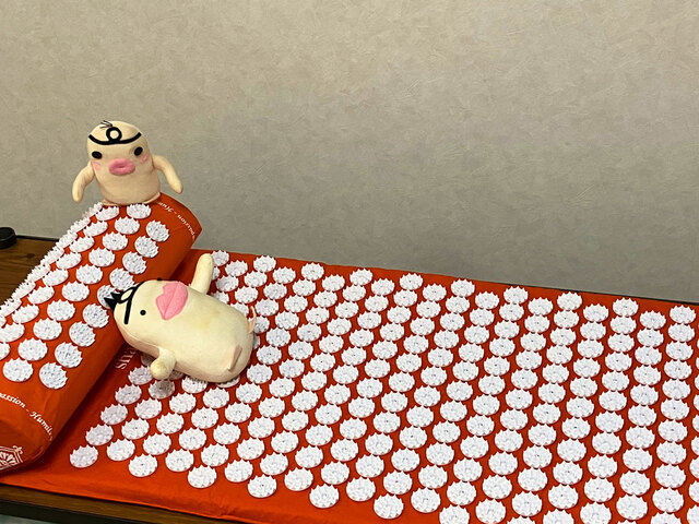 イケダム in シャクティマット
