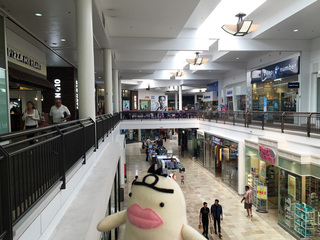 イケダム in Westfield Valley Fair (内部)