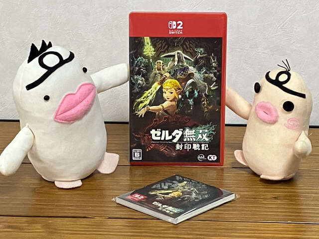 イケダム in ゼルダ無双 封印戦記