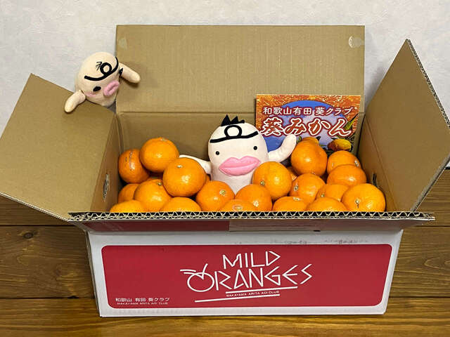 イケダム in みかん2025 forever