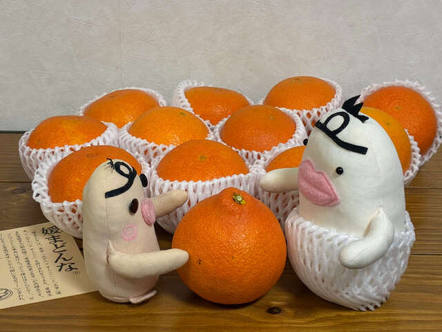 イケダム in 媛まどんな