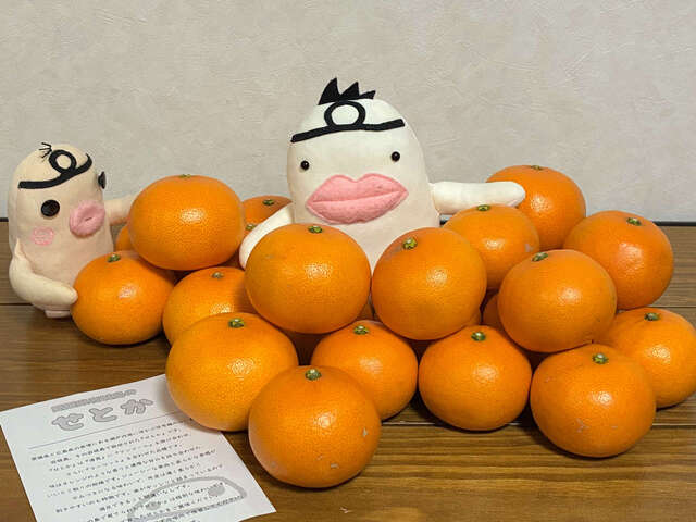 イケダム in せとか2026